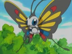 Beautifly first appeared in The Blue Badge of Courage, when Sakura used it to find the people who stole Kinso's badges.