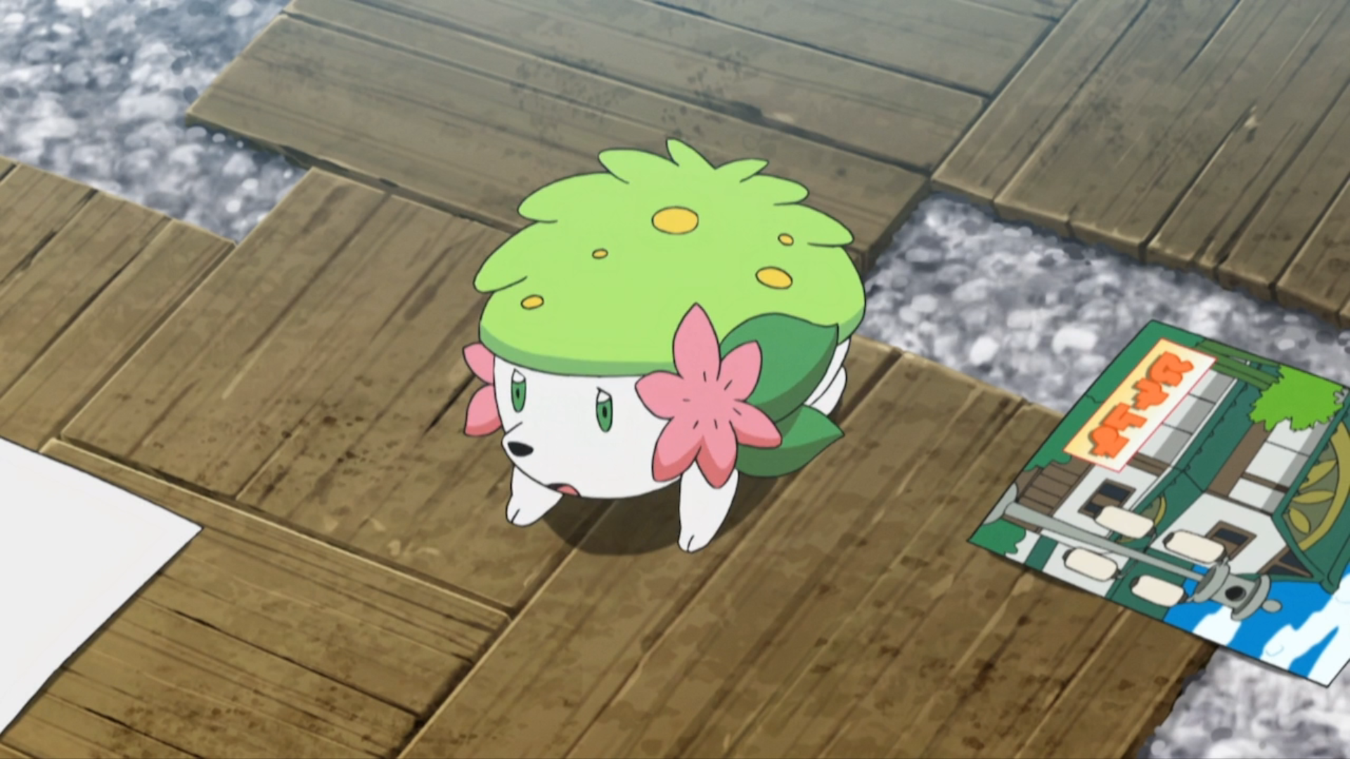 Shaymin, Pokémon