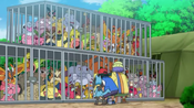 Ash and James break Pikachu along with other Pokémon out of their cage