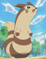 Salvador had a Furret, who battled Ash's Pikachu and lost.