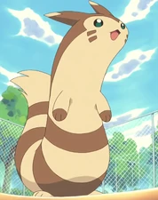 Salvador's Furret.