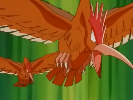 Tyson S Fearow Pokemon Wiki Fandom