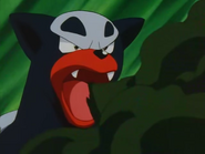 Smog being used by Cassidy's Houndour.