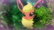 Flareon XY095