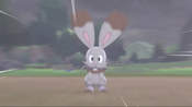 Pokemon Sword & Shield Bunnleby