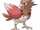 Spearow