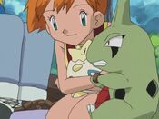 Larvitar is still scared