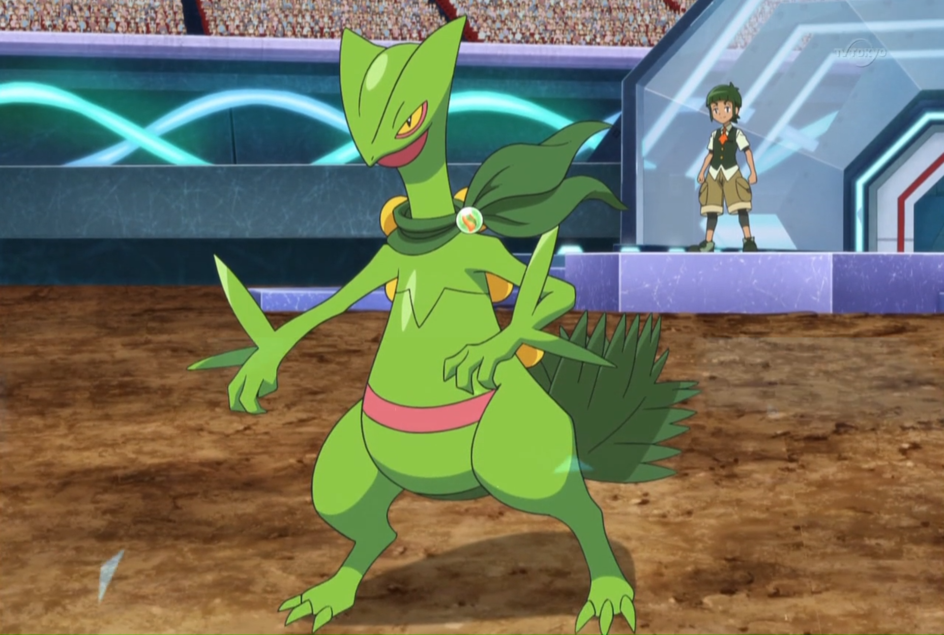 Pokemon Hintergrund Possibly Containing Anime Called - Imagenes De Pokemon  Mega Sceptile - Free Transparent PNG Download - PNGkey