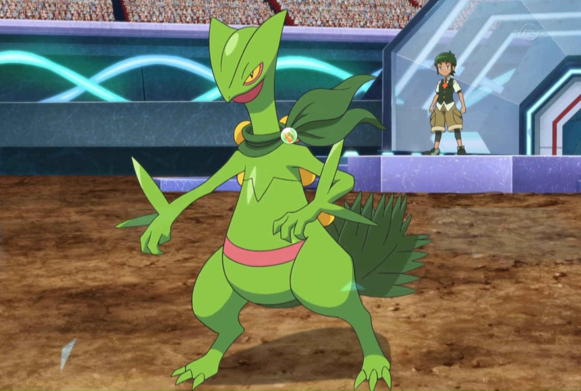 De quem é o Sceptile em Pokémon XY&Z? 