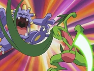 Pound being used by Ash's Grovyle.