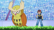 Ash and Noctowl