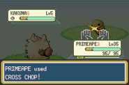 Cross Chop depicted in Pokémon FireRed Version and Pokémon LeafGreen Version