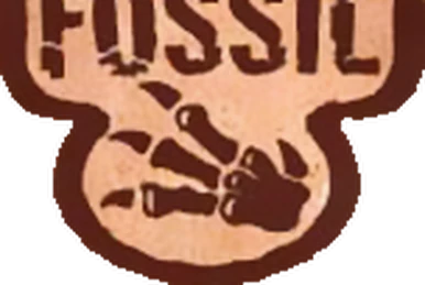 Fossil (TCG) | Pokmon Wiki | Fandom