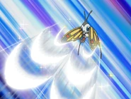 Silver Wind used by May's Beautifly.