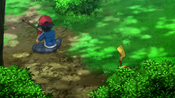 Ash and Pikachu looking for a new branch