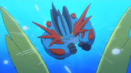 May's Swampert