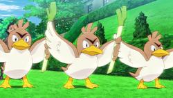 Farfetch'd de Goh, Pokémon Wiki