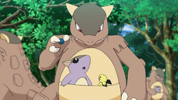 Kangaskhan PJ001