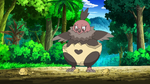 Vullaby, along with Rufflet, were the Pokémon Layla takes care about. However, due to their differences and disagreements, Vullaby and Rufflet often fought each other. Vullaby was more harsh and tougher than Rufflet.
