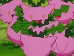 Mariah had Hoppip, which she uses for meteorological studies. They were blown by a huge storm, but were saved by Ash, Brock, Misty, and Hoppip.