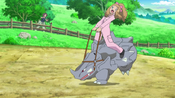 Serena rides Rhyhorn