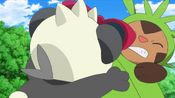 Pancham and Chespin fighting with Quilladin