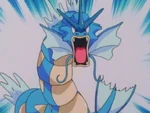 James bought Gyarados when it was still a Magikarp. When James threw Magikarp into the ocean, it evolved into Gyarados. Eventually, it used Dragon Rage hurling Ash, Misty, Brock, and Team Rocket away, and it was never seen again.