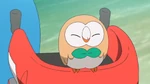 Smuggy Ash Rowlet.png (454 KB) Rowlet being smuggy