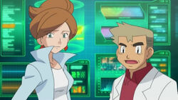 professor oak anime