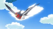 Quick Attack being used by Ash's Swellow.