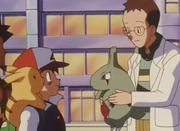 Ash and Professor Elm