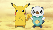 Pikachu and Oshawott are delightened to hear about the island