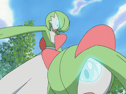 Horace's Gardevoir, Pokémon Wiki