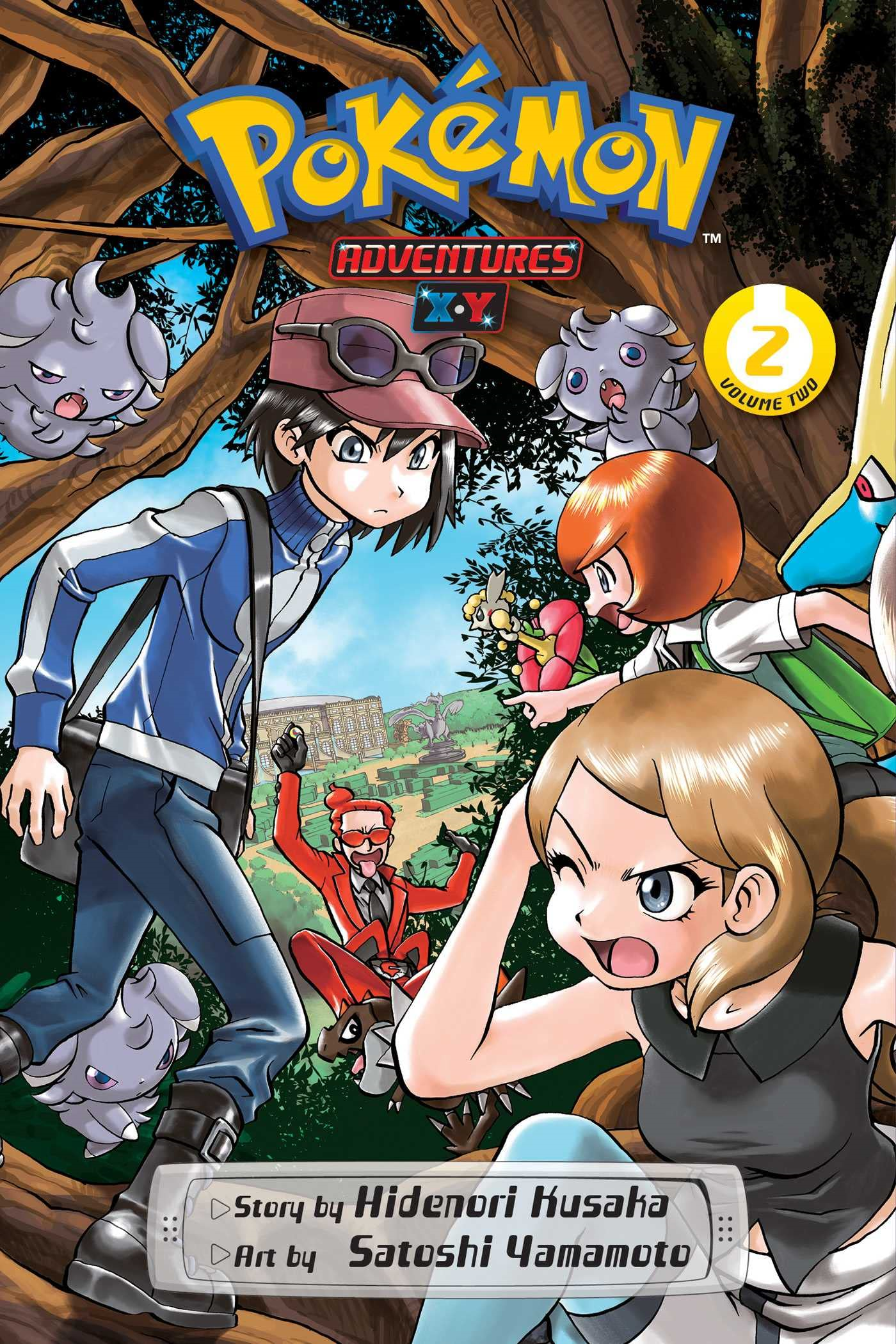 Pokémon: Sword & Shield, Vol. 9  Book by Hidenori Kusaka, Satoshi
