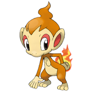 Chimchar
