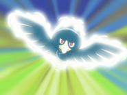 Using Sky Attack as Murkrow