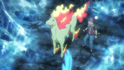 Red Rapidash
