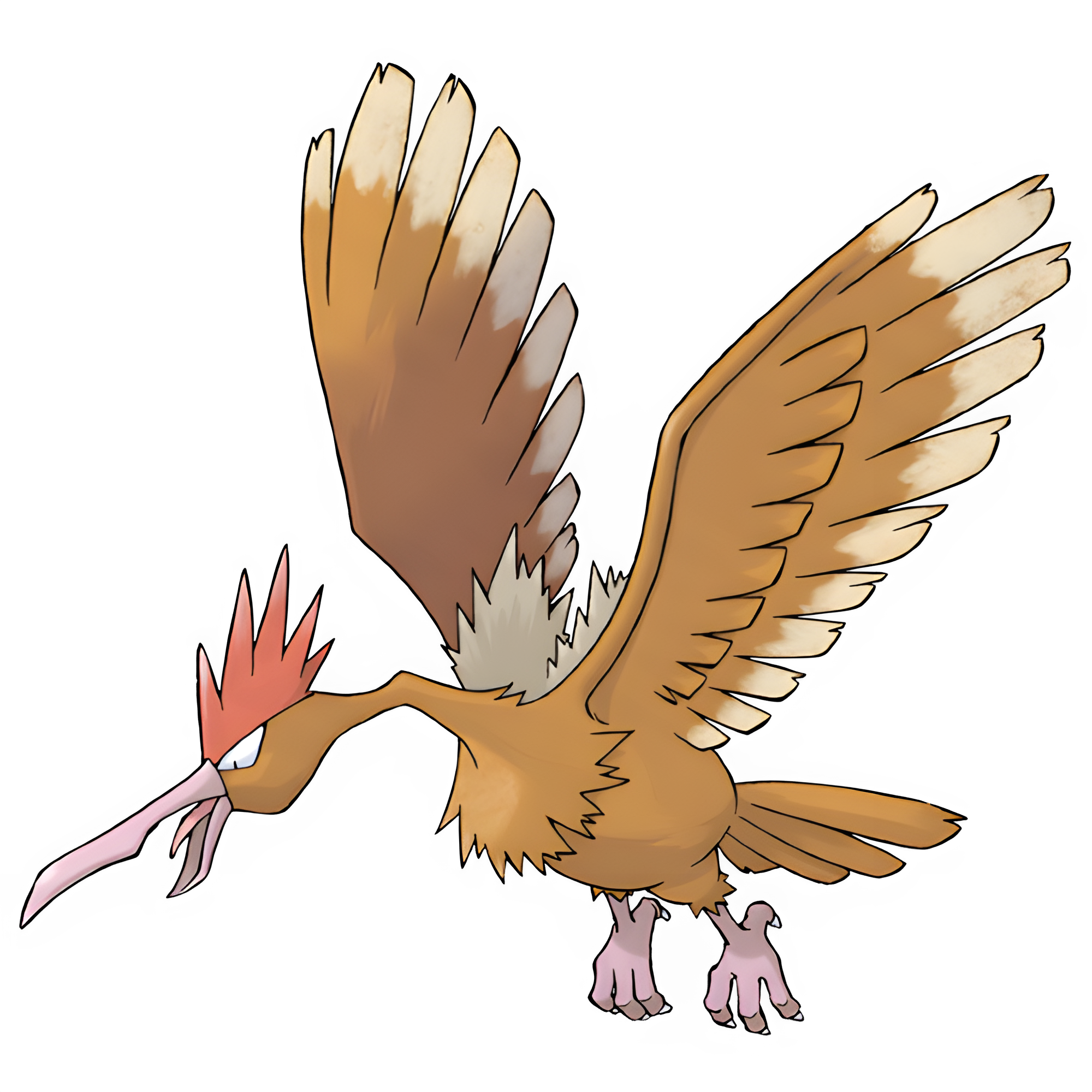 main image
