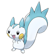 Pachirisu