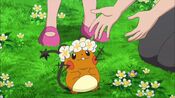 Dedenne wearing a flower crown Serena gave him