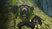 Elder Zarude