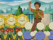 Brock and the Grass-type Pokémon cheer