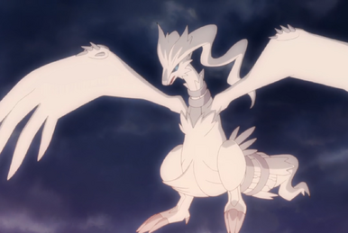 Pokémon on X: Along your adventure, you encounter two Legendary Pokémon:  Reshiram and Zekrom! But you only have one Poké Ball! 😨 Will you capture  the fiery Reshiram or the shocking Zekrom?
