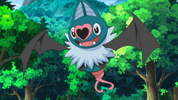 Robert's Swoobat