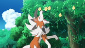 Lycanroc tries to eat some berries