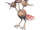 Dodrio