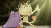 Meowth with Ditto