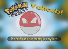 Voltorb- Who's That Pokémon