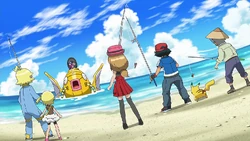 XY023