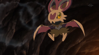 Ash Noibat Echolocation.png